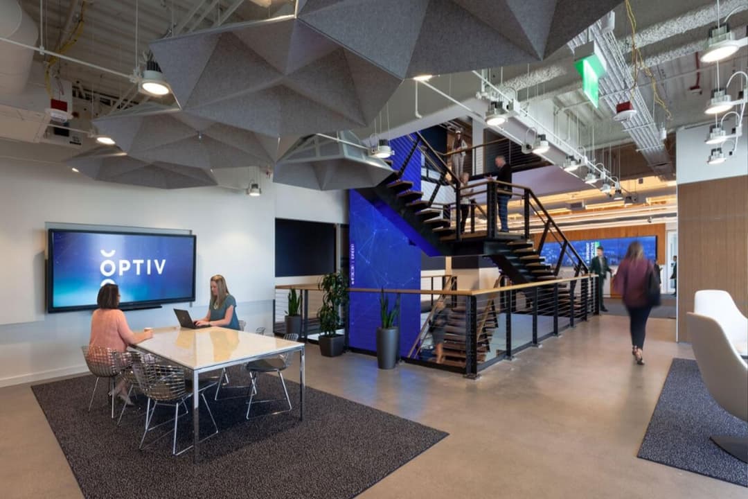 Optiv company profile